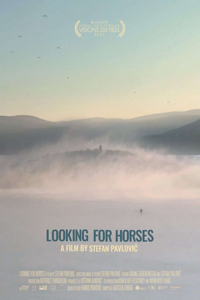 Looking for Horses - a film by Stefan Pavlović Looking for Horses - a film by Stefan Pavlović